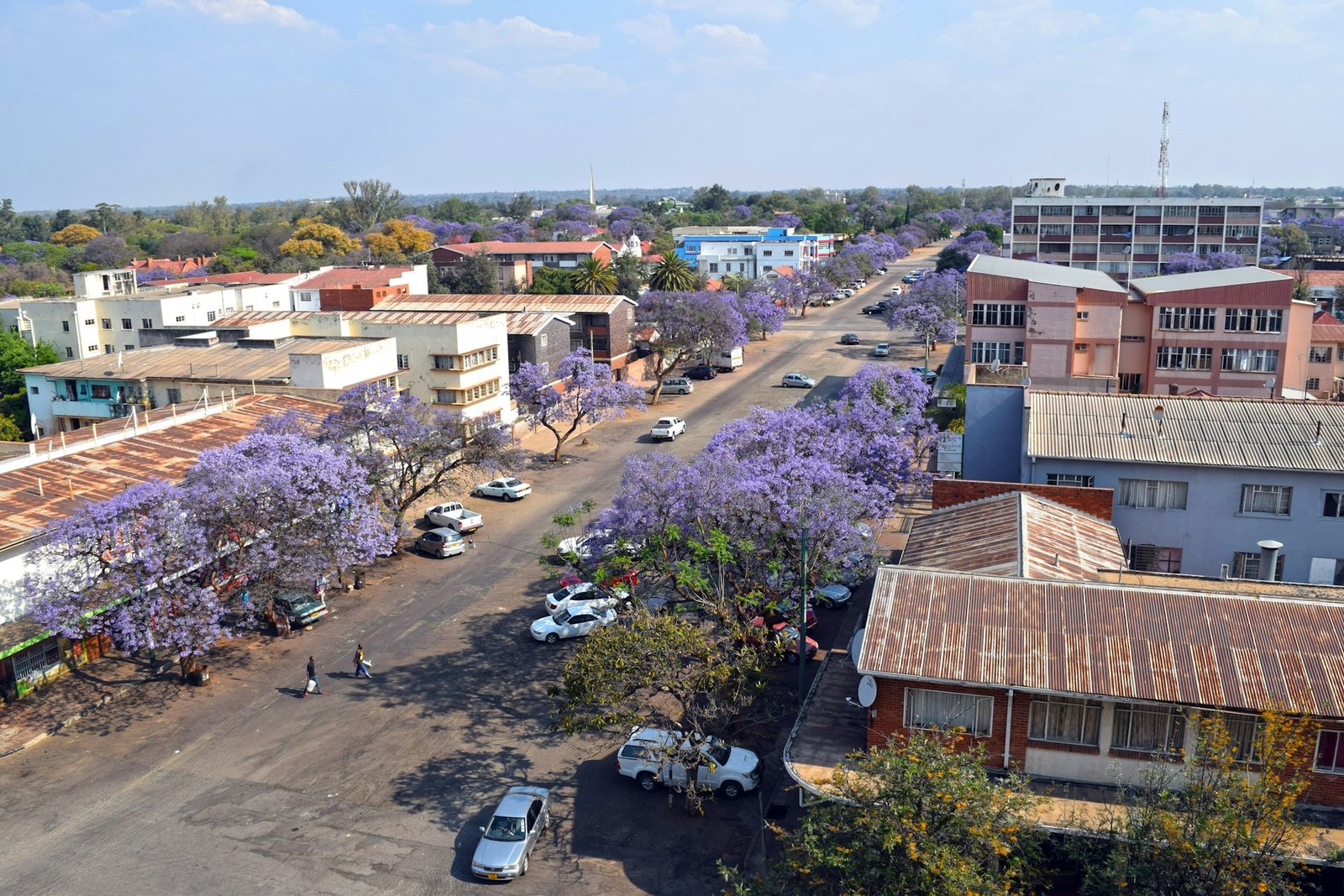 A street with cars parked in front of low-rise commercial buildings