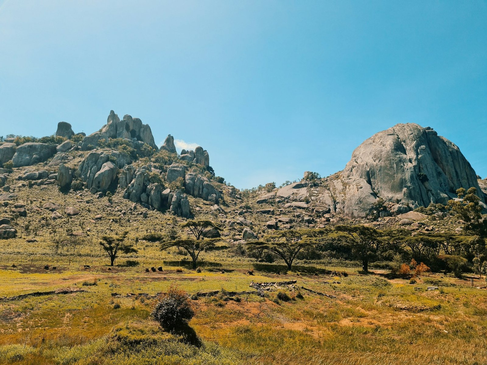 Granite kopjes above open grazing land dotted with flat-crowned msasa trees